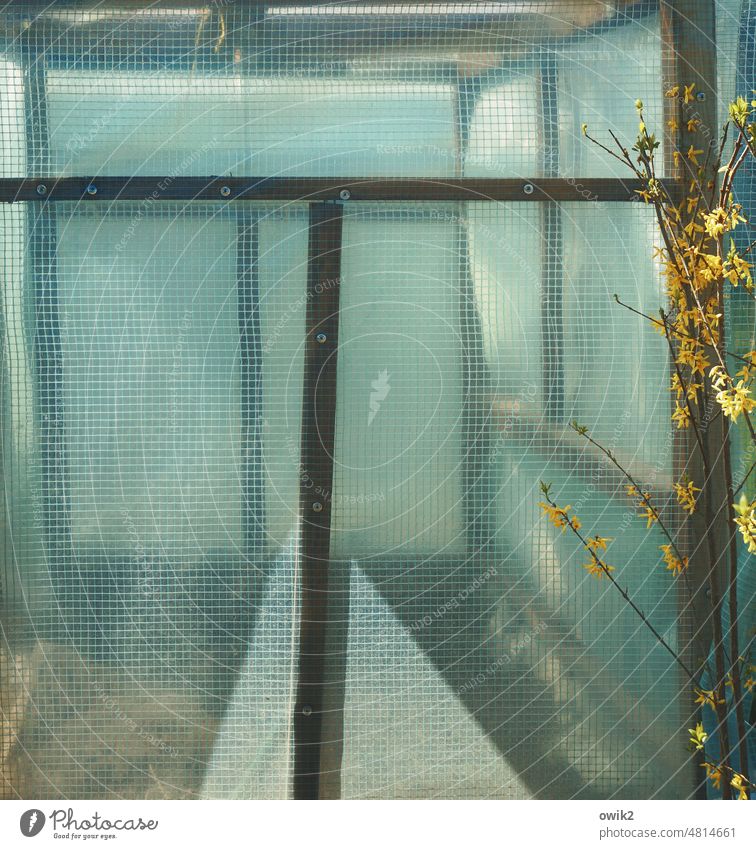 Myth Greenhouse Wall (building) Window Translucent Hazy blurred Diffuse Mysterious Detail Deserted Aspire Colour photo Exterior shot Abstract stable structures