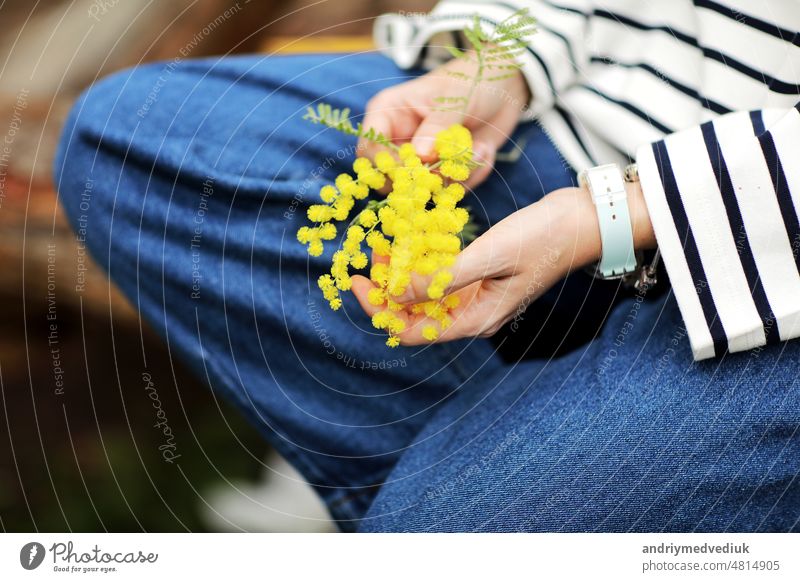Close-up hand of young girl or woman holds yellow brunch of mimosa flowers outdoors. 8 march women's day concept. copy space spring holding floral garden