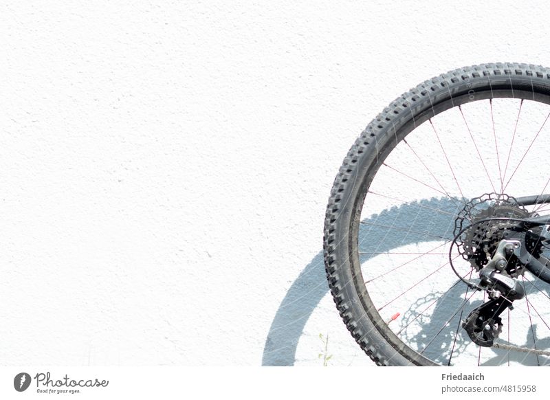 Part of a bicycle with shadow on a white wall Wheel Shadow Bicycle tyre Tire Spokes Detail Close-up Wheel rim Cycling Exterior shot Deserted Leisure and hobbies