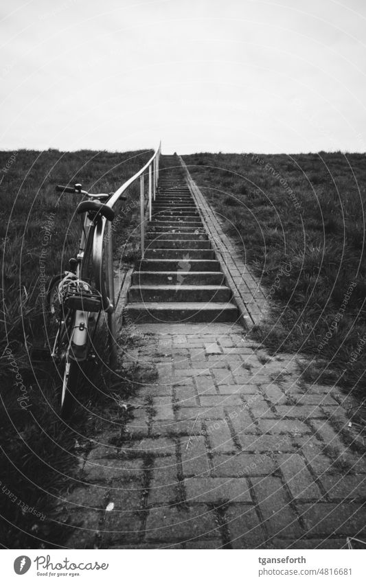 Bicycle on dike stairs Dike Stairs Ajar Grass Deserted Exterior shot Break Parking Overgrown Means of transport
