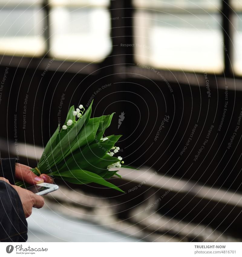 Multi tasking: Fresh lily of the valley bouquet and smartphone in hands while waiting for the S-Bahn on the platform Lily of the valley Bouquet
