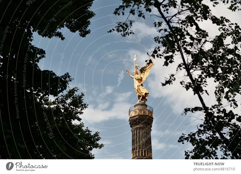 [hansa BER 2022] Goldelse or Victory Column - in sunny splendor, the landmark and monument to Victoria, visible from afar, rises up between trees in Berlin's Tiergarten against the blue sky with light white clouds