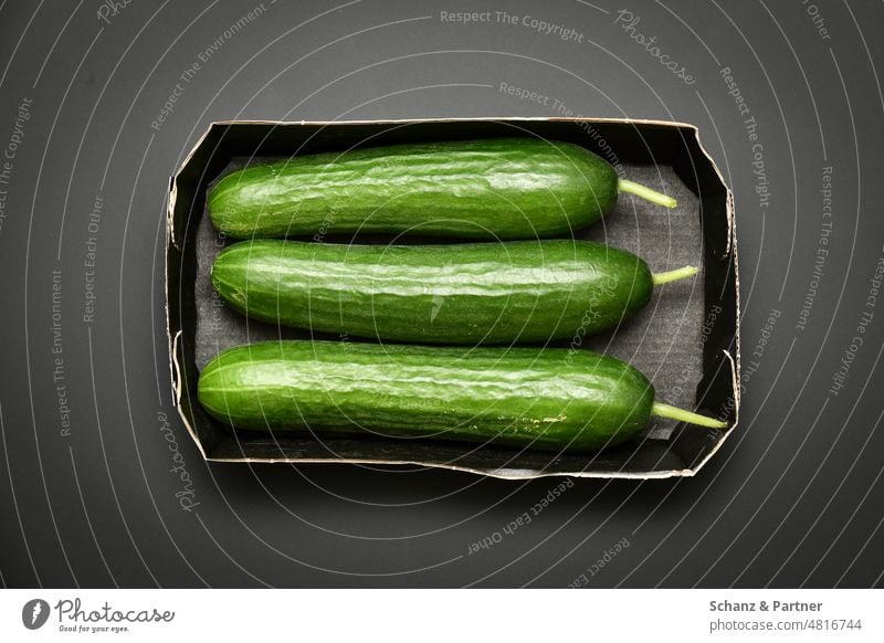 three green cucumbers in black cardboard bowl on black background Lettuce Vegetable Cucumber Cucumbers in a threesome Harvest salubriously vegetarian Food