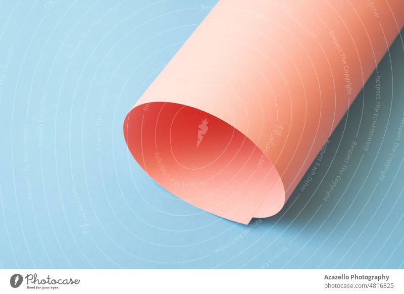 Rolled pink paper on blue background. roll reel shape pastel minimal minimalist single object office education school work fold tube pipe tunnel concept idea