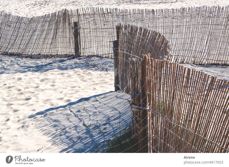 stripes on the beach Shadow Fence Stripe reed Reed fence Beach Sandy beach Contrast Structures and shapes Pattern Sunlight lines Construction Protection cordon