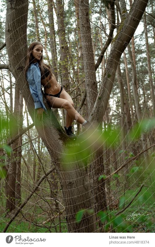 Up in a tree is a place to be. For this gorgeous brunette girl dressed in her black and sexy lingerie and blue shirt only. This tree is occupied by the beauty of a woman.