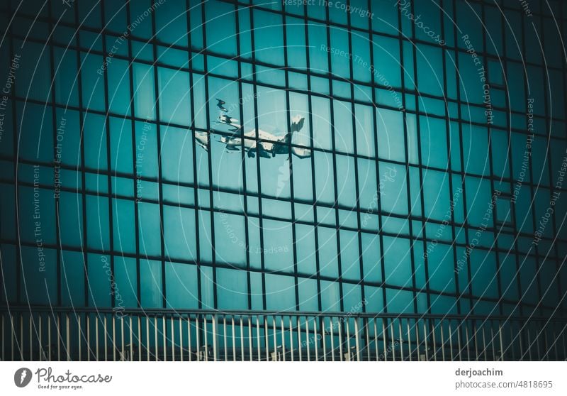 An airplane on approach. It is reflected on a window front at the airport building. Airplane good weather Exterior shot Vacation & Travel Deserted Tourism