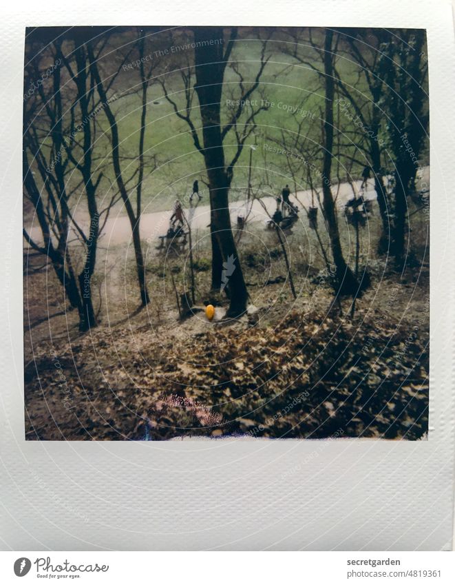 Looking down on the world from above Park Hamburg mountain slope Downward Above Under trees Tree Green Polaroid Analog Pedestrian corona To go for a walk Winter