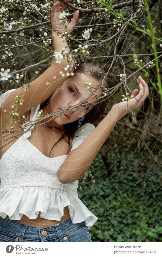 White blossoms fit perfectly with the white dress of our gorgeous brunette model. This pretty girl is hiding beneath the branches and being all gorgeous.
