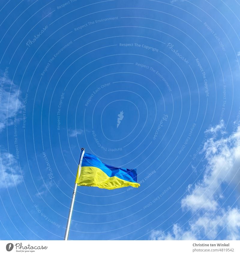 The national flag of Ukraine flies in the wind against a slightly cloudy sky Ensign ukrainian colors Blue-yellow Ukrainian flag Flags Peace Ukraine war symbol