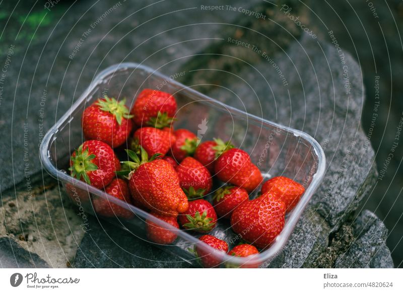 [hansa BER 2022] Bowl of strawberries in a plastic package on stone Strawberry Packing material shell Red Fruit fruit Delicious Food Strawberry Time Mature