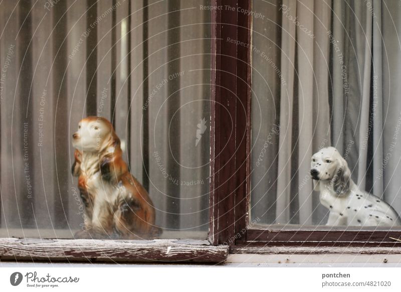 Animal love. Two porcelain dogs in a shabby looking window. Kitsch Porcelain Decoration china dogs porcelain figurines Window decoration dreariness drapes