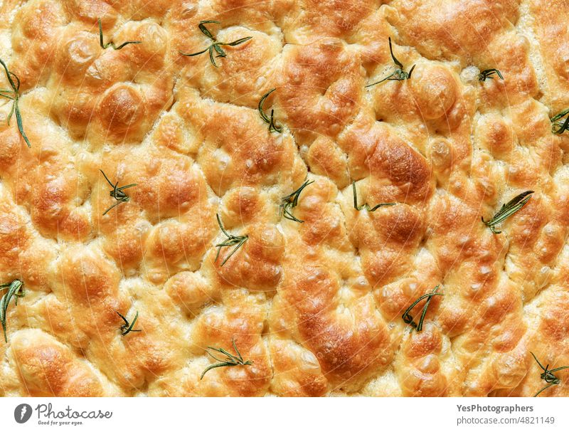 Homemade rosemary focaccia bread, above view, close up. appetizer backdrop background baked bakery bright brunch close-up crumb cuisine delicious details flat