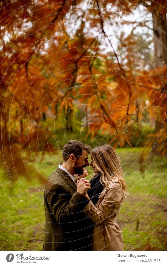 Young couple in the autumn park attractive autumnal beautiful boyfriend casual color date dating day fall female foliage forest fun girl girlfriend guy handsome
