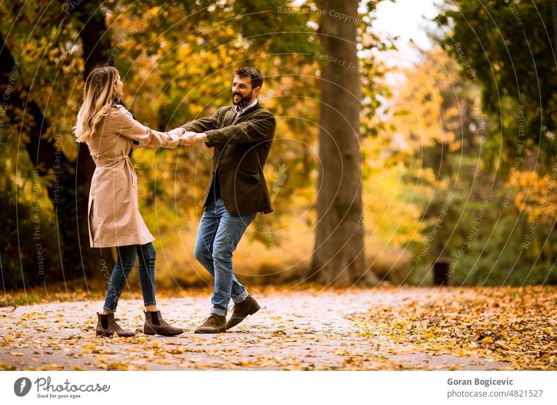 Young couple having fun in the autumn park attractive autumnal beautiful boyfriend casual color date dating day fall female foliage forest girl girlfriend guy