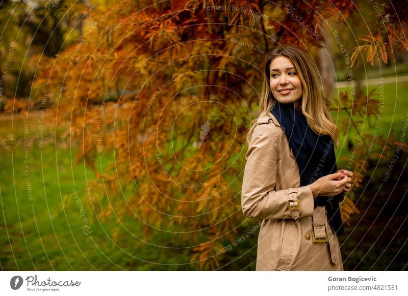 Beautiful young woman in autumn park beauty caucasian female portrait people fashion happy beautiful cheerful yellow hair fall lifestyle outdoor face season