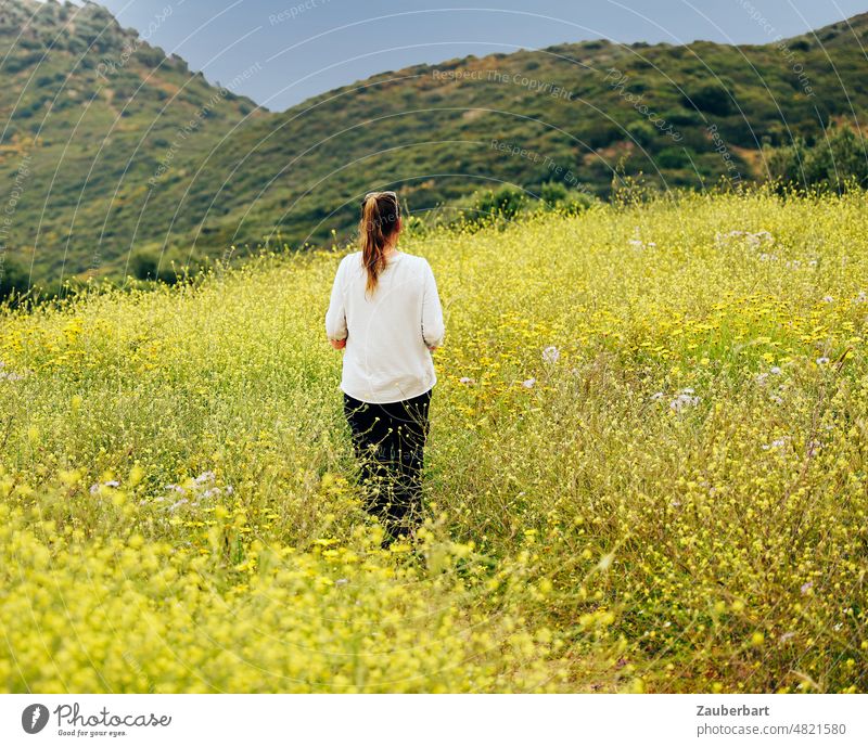 Woman in back view stands on a dirt road in yellow sea of flowers in front of a hill range off the beaten track Yellow Broom Hill chain of hills look Hiking