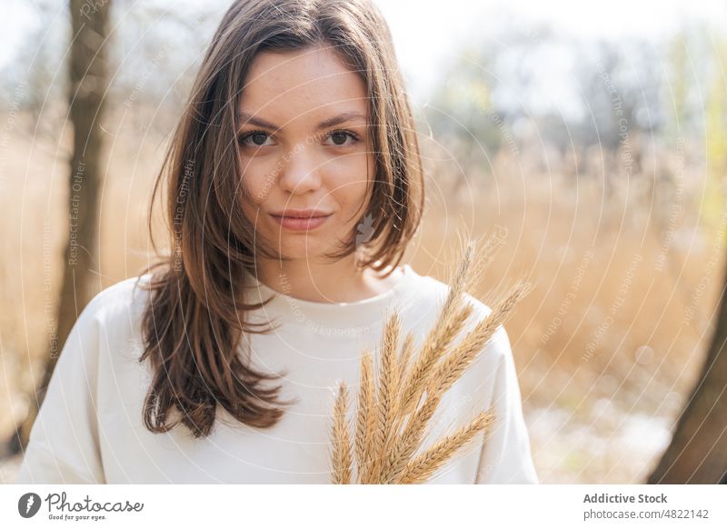 Calm female looking at camera with bunch of spikelets in nature woman wheat calm portrait countryside feminine plant peaceful pensive young brunette brown eyes