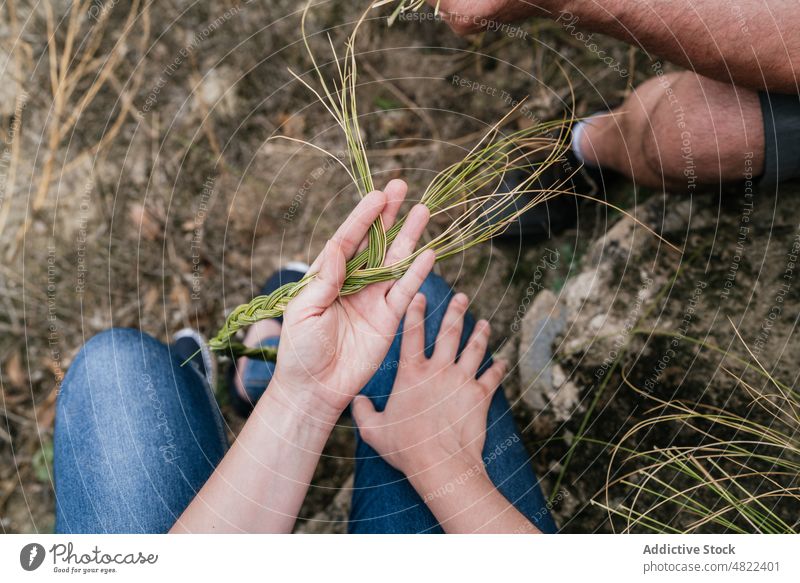 Woman with father holding halfah grass for natural fiber crafts woman make handmade esparto braid collect farmer family business harvest gardener prepare