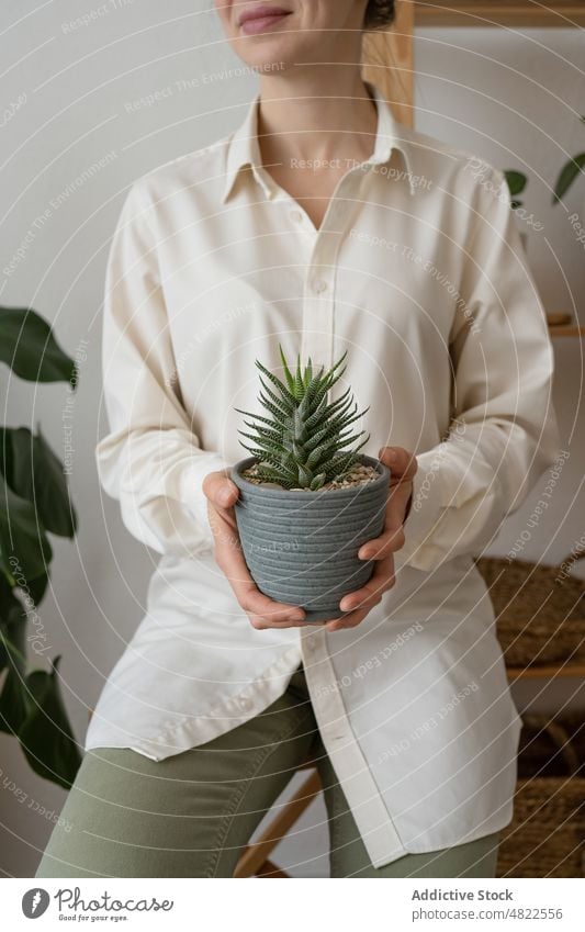 Positive woman smiling and showing potted succulents smile gardener plant happy cultivate chair positive flora botany glad horticulture home female young