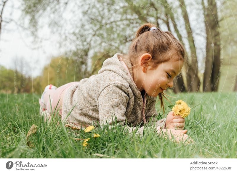Positive little kid lying on meadow with bunch of dandelions in park girl lawn smile happy child flower pick relax grass positive long hair warm clothes nature