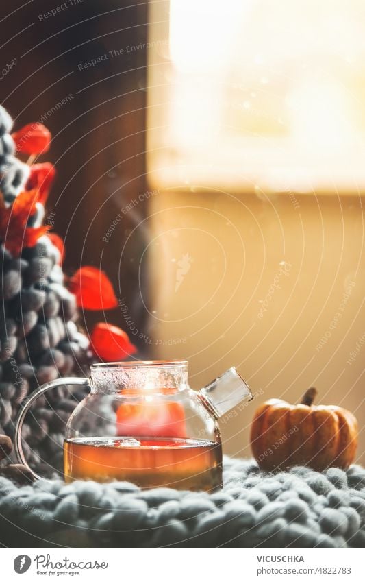 Autumn cozy still life with homemade tea in glass teapot with steam autumn wool blanket background seasonal hot beverage fall front view blurred drink glass pot