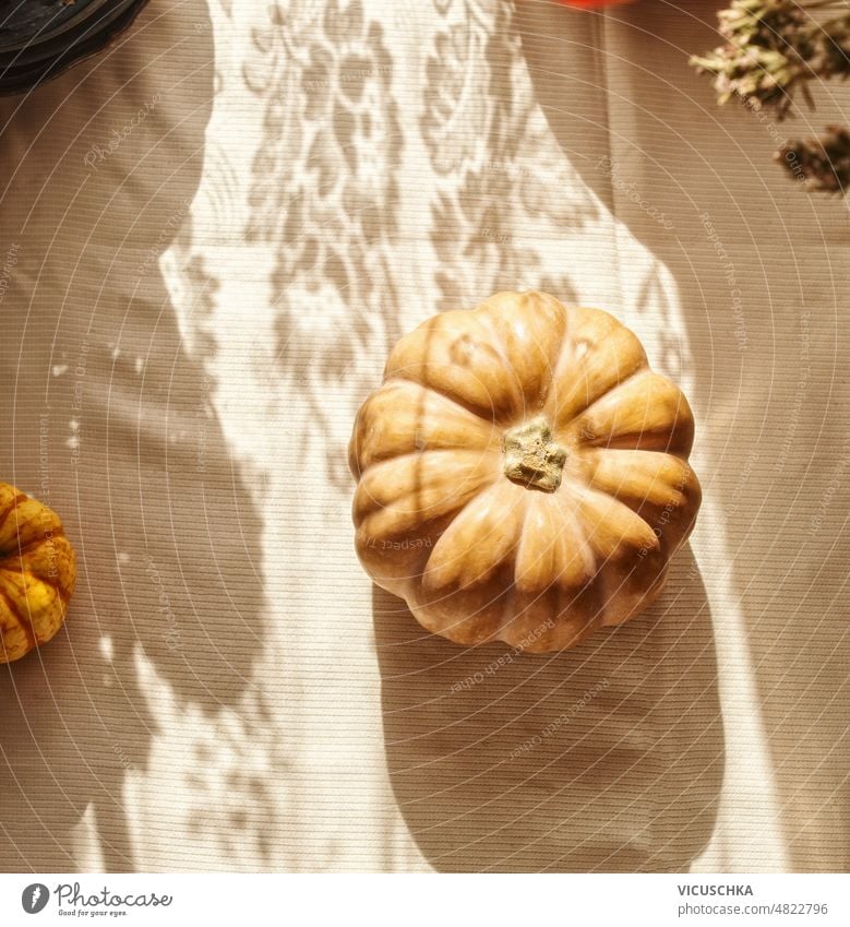 Pumpkin with sunlight and shadows on kitchen table with beige tablecloth pumpkin seasonal autumn vegetable top view background cozy food home october september