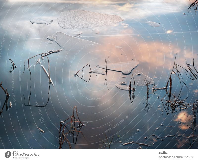 Mathematical lake picture stalks twigs Water reflection naturally Stationary meditative Sky calm atmosphere atmospheric Beautiful weather Glittering Reduced