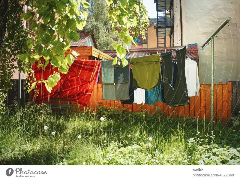 Loud color wash Washing day Laundry Hang Dry clothesline Clean Living or residing Hang up Sunlight Tumble dryer Beautiful weather Warmth out Clothing