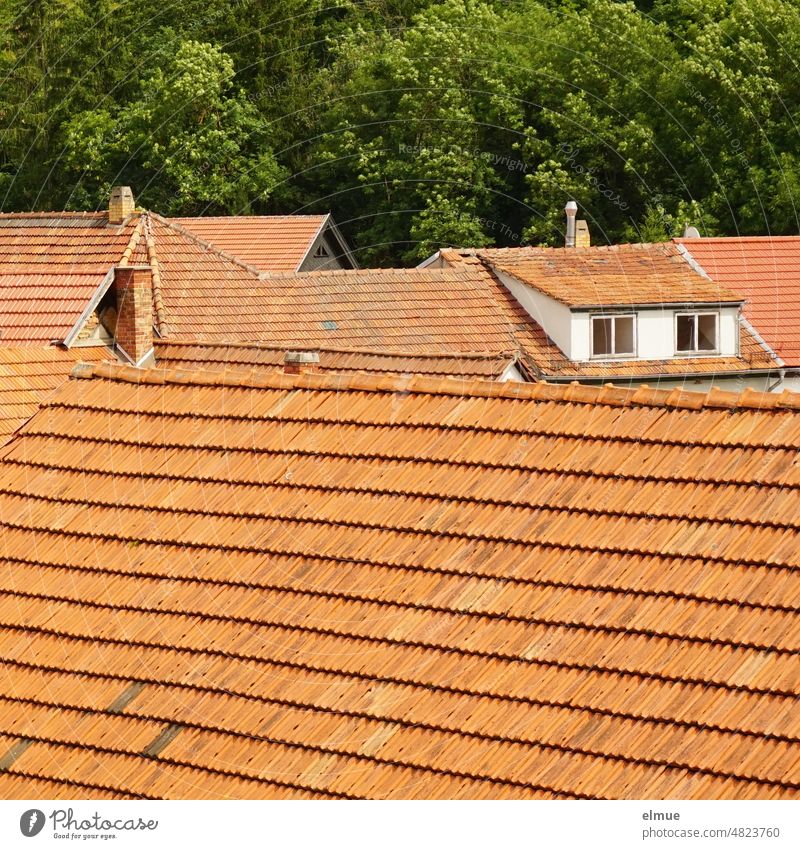 View over several red tiled roofs to a house with dormer windows in front of a lush green deciduous forest / live / census Roof Tiled roof Roofing tile Dormer