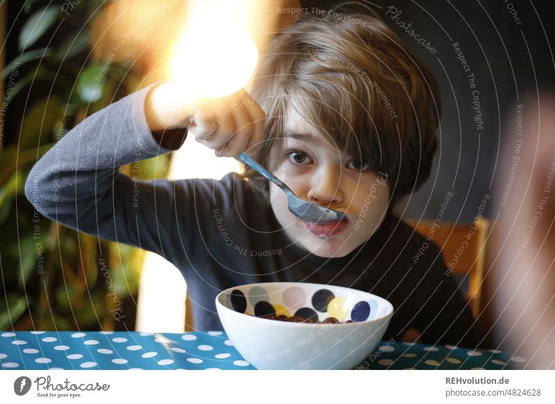 Child eats cereal for breakfast from a bowl Infancy Boy (child) Eating Breakfast Cereal cereal bowl breakfast cereals Spoon Light Artificial light portrait