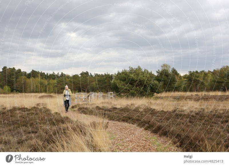 Woman with white hair walking through a moorland | UT spring country air Bog Senior citizen White-haired stroll To go for a walk Spring Gloomy Grass heather
