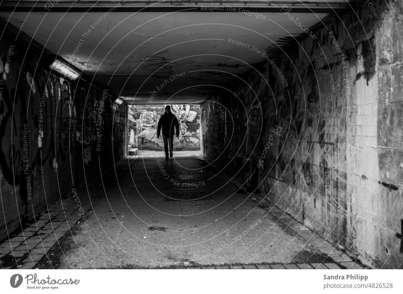 Male person in underpass is framed by graffiti Underpass Man Silhouette Tunnel Human being Shadow Light Contrast Architecture Structures and shapes Back-light