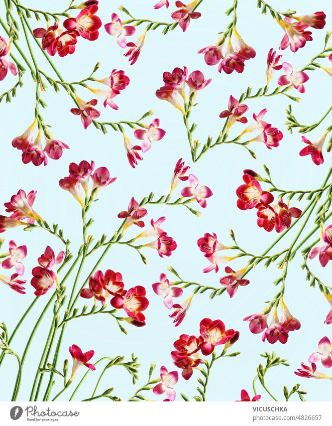 Floral pattern with red flowers and curved green stems at blue backdrop. floral top view wallpaper seamless nature background bloom blossom blossoms