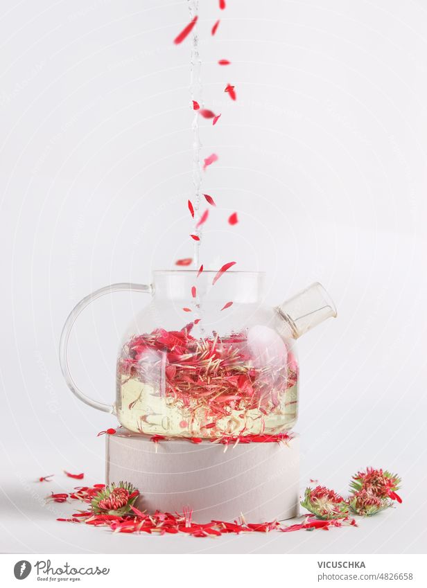 Flowers tea with flying pink petals in glass pot at white background. Healthy lifestyle flowers teapot healthy lifestyle herbal tea front view aroma cup