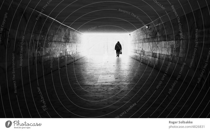 Out of the Darkness - Into the Light backlight Park Black and white Shadow White Contrast Street Streetlife Mysterious Tunnel Light in the tunnel Underpass