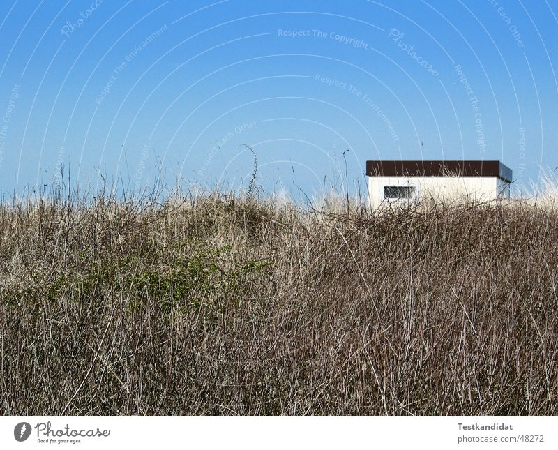 House in the dunes Beach House (Residential Structure) Window White Blue sky Beautiful weather Beach dune Landscape