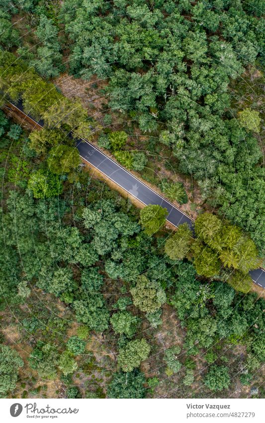 Drone aerial view of road on mountain under oak trees Street uav rpa naturally Park forests Destination ecology Outdoors point of view Antenna Above Oak tree