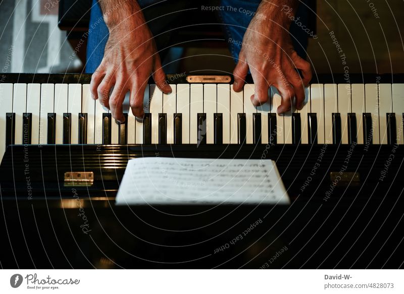 Playing the piano - hands on the keys Piano Practice notes Musician Musical instrument fumble Culture Make music Keyboard