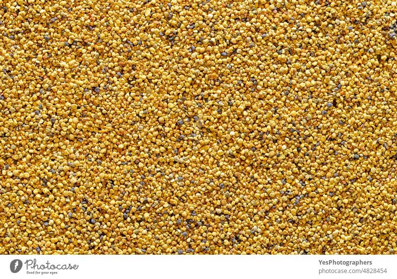 Bee pollen grains, above view. Yellow background with pollen balls. abstract antimicrobial antioxidant apiculture bee beekeeping bread bright close-up color