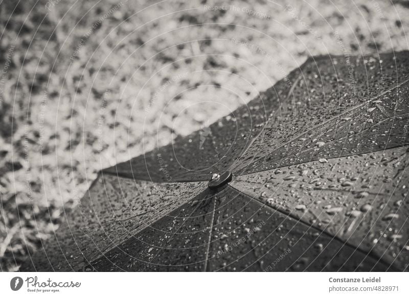 Stretched lying umbrella with raindrops. Black and white photo Umbrella Wet Rain Drops of water Bad weather Weather Close-up Deserted Water Cold Dreary Gray