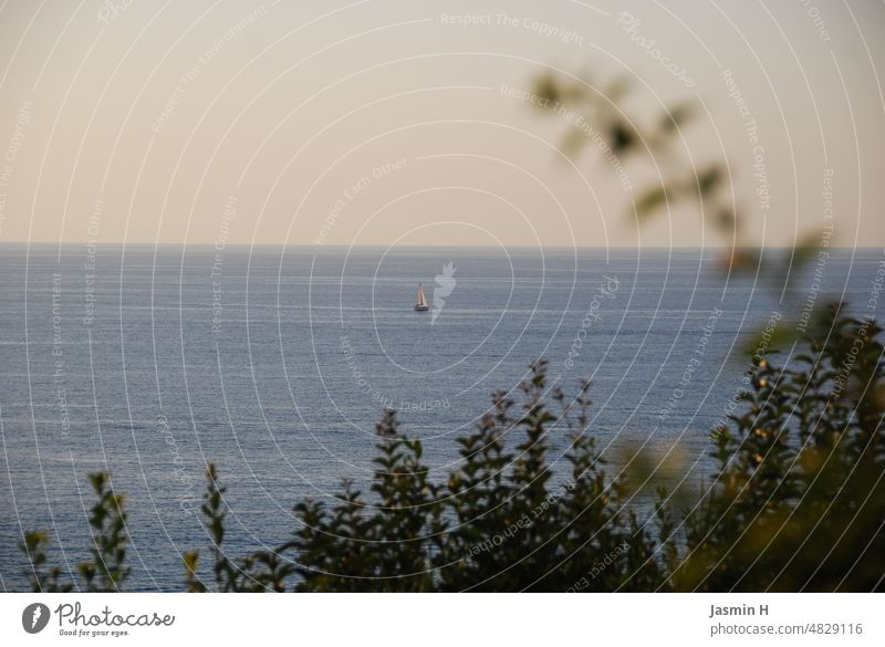 View of the Mediterranean Sea - a sailboat in the distance Ocean Sailboat Water Vacation & Travel Summer Sky Horizon Exterior shot Day Mediterranean sea Italy
