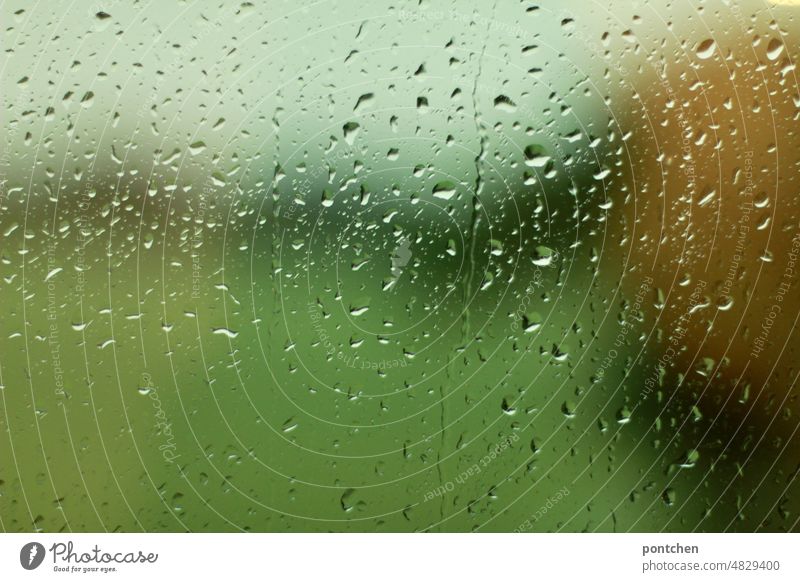 Raindrops on a window pane against green background. Rain is good for nature raindrops Green Window Window pane Wet Nature Irrigation Drop Bad weather