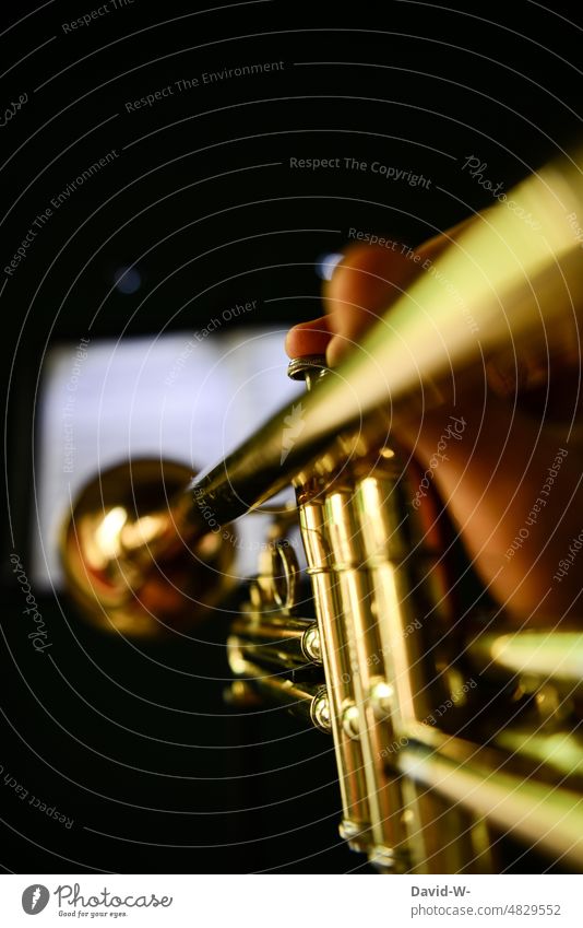make music - play trumpet Musician Trumpet Make music golden Elegant Musical instrument Concert Jazz Sound Orchestra Grasp hands