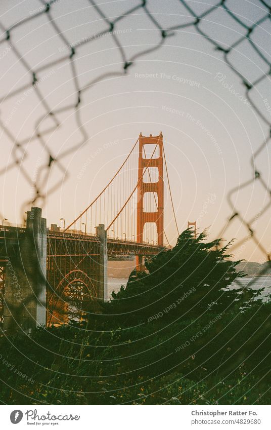 The Golden Gate Bridge at sunset on 35mm film. San Francisco, California. Sunlight Filmlook Tourism Landmark Twilight Light warm Federal elections Tourist Sky