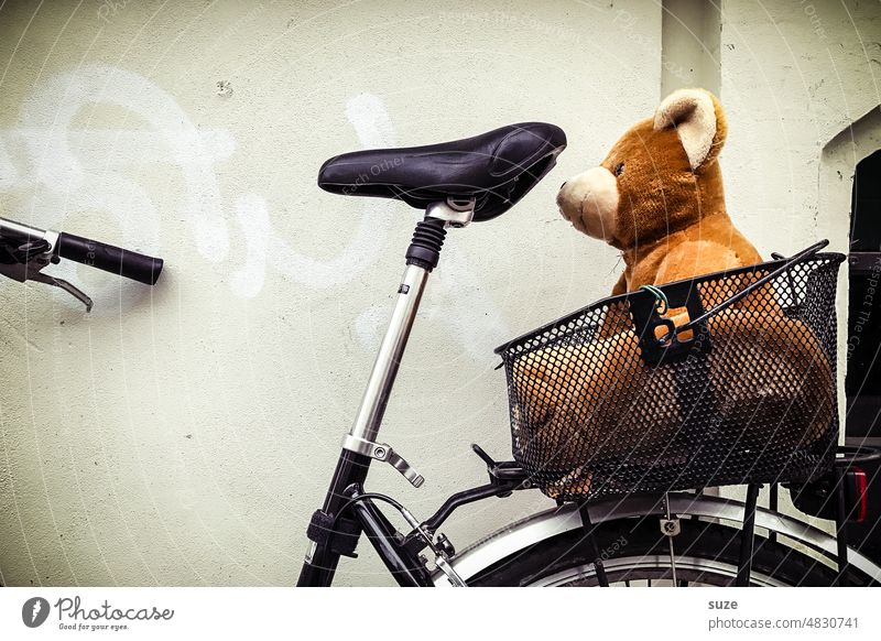 Teddy rides with Bicycle teddy soft toy Teddy bear Toys Bear Brown Colour photo Exterior shot Sit Cute Infancy luggage carrier Detail Small Deserted Friendship