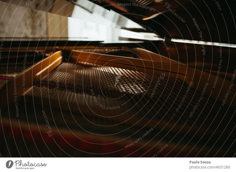Piano strings detail Pianist String instrument Music Playing Concert Sound Musical instrument Wood Interior shot Classical Colour photo Detail Close-up