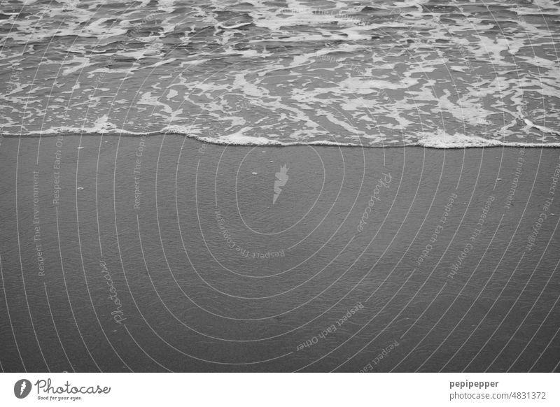 ocean Ocean seascape Seashore Sea water coast Water Picturesque Beach Horizon Waves Swell Undulation Wavy line Wave action wave Surface of water