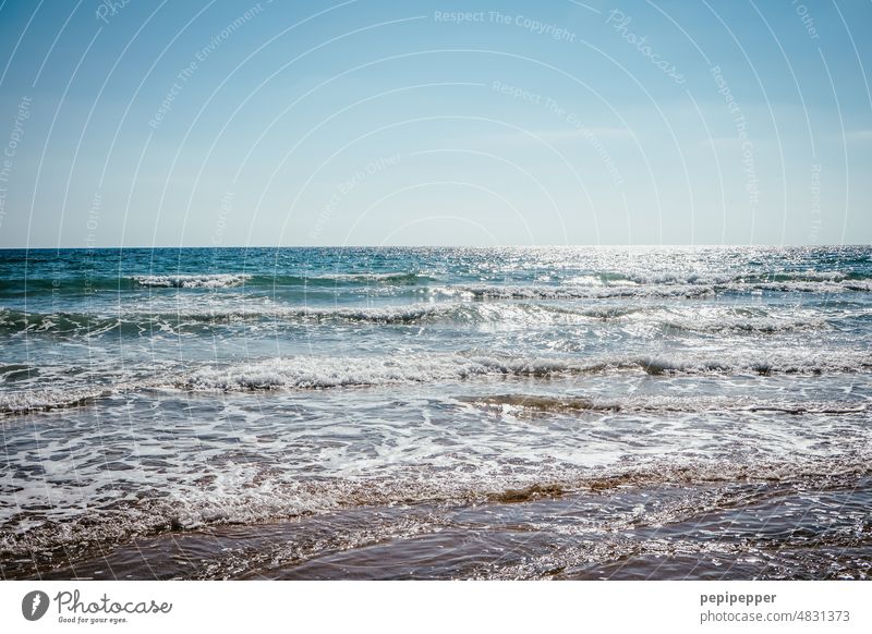 ocean Ocean seascape Seashore Sea water coast Water Picturesque Beach Horizon Waves Swell Undulation Wavy line Wave action wave Blue Surface of water