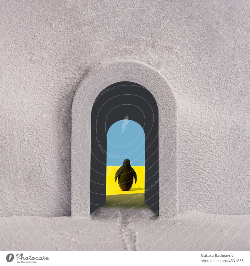 Penguin in the passage between cold and warm climates. The idea of global warming. Abstract Contemporary ecology concept summer winter creative penguin Square